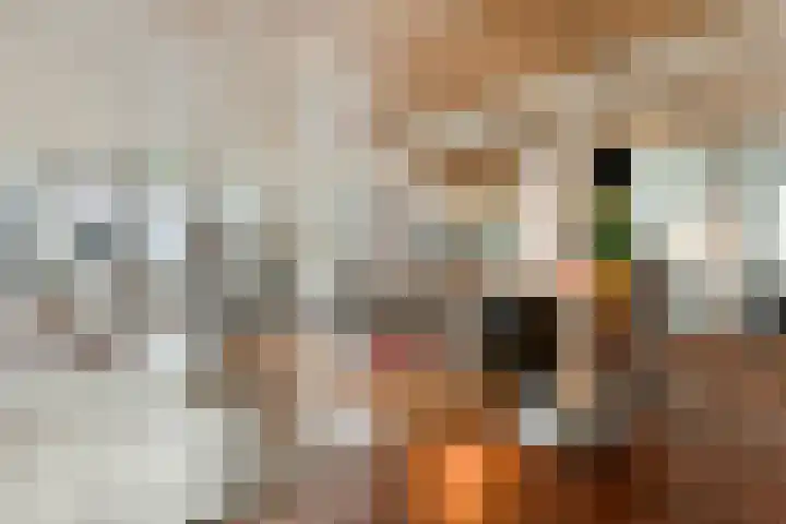 Gedempte Zalmhaven 485 Rotterdam thumbnail 32