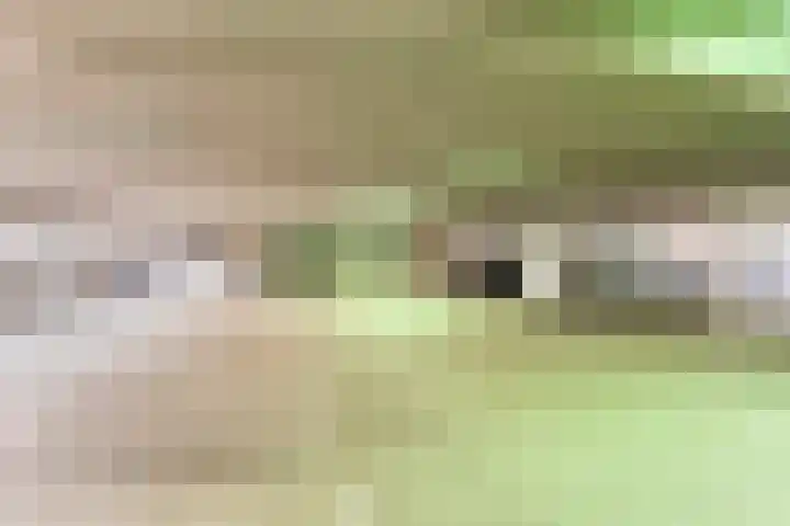 Gedempte Zalmhaven 485 Rotterdam thumbnail 34