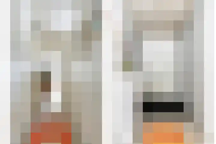 Gedempte Zalmhaven 485 Rotterdam thumbnail 4
