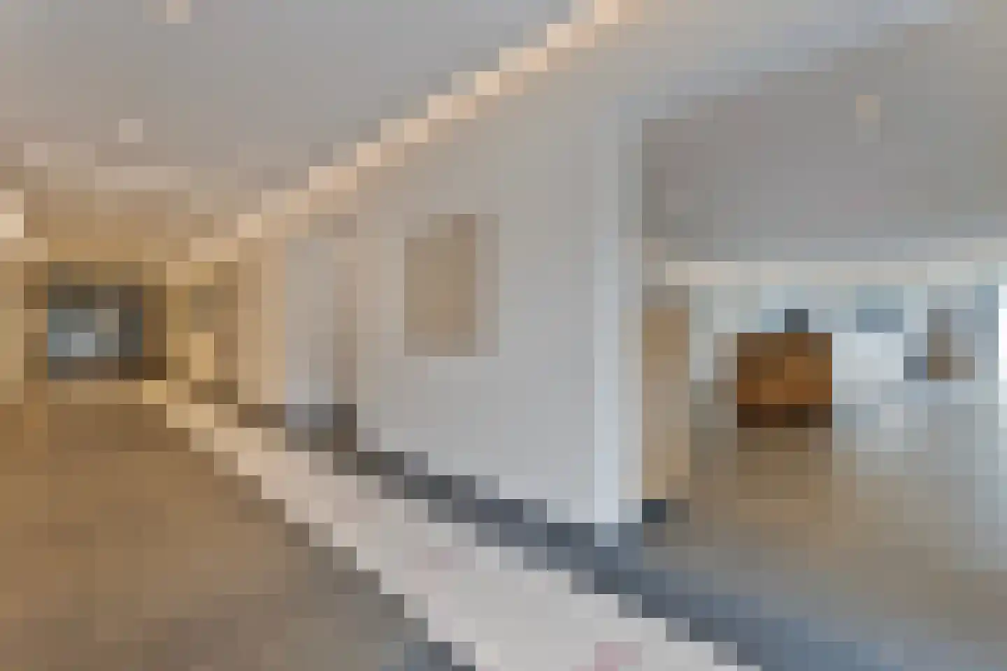 Gedempte Zalmhaven 497 Rotterdam thumbnail 33