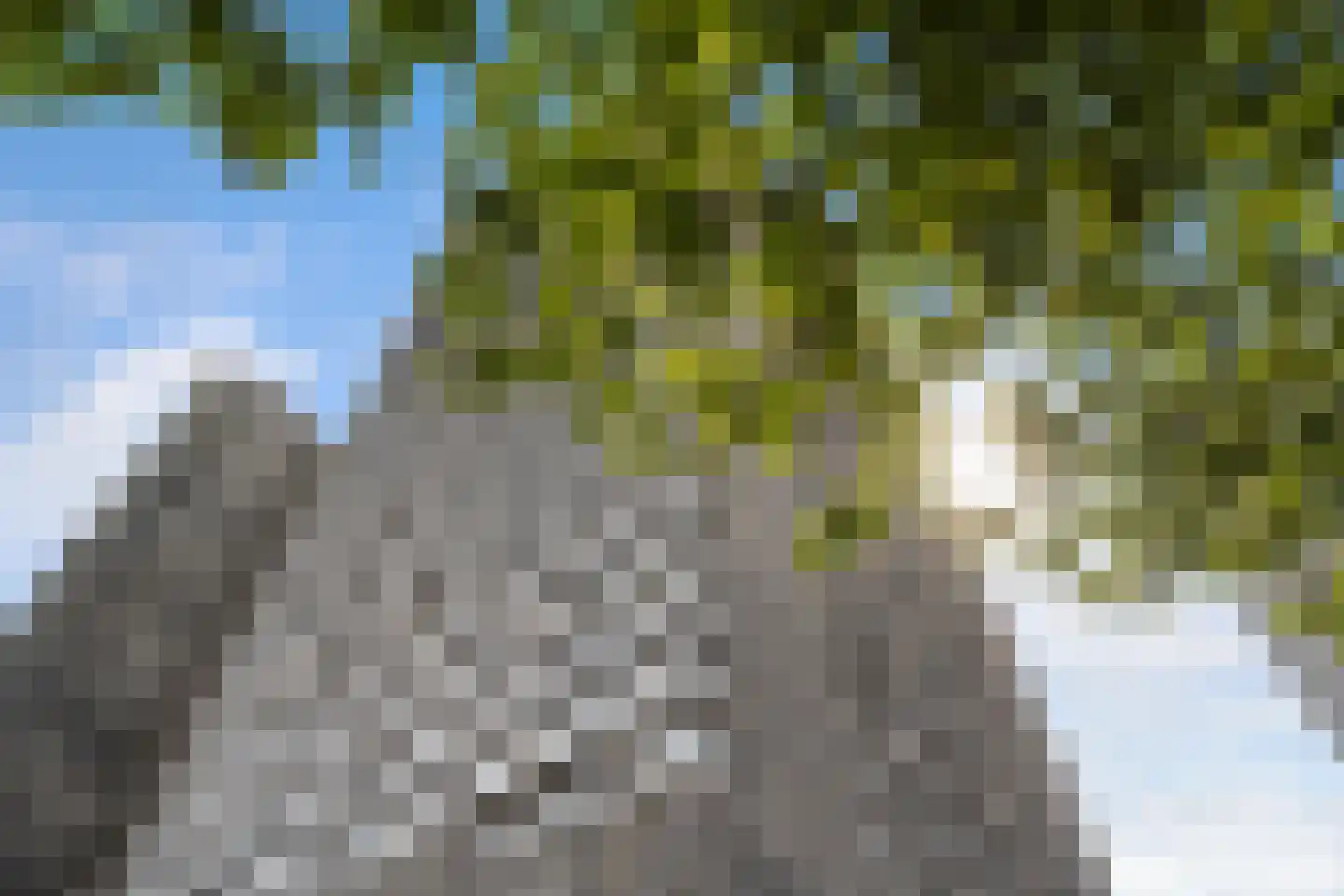 Gedempte Zalmhaven 497 Rotterdam thumbnail 39