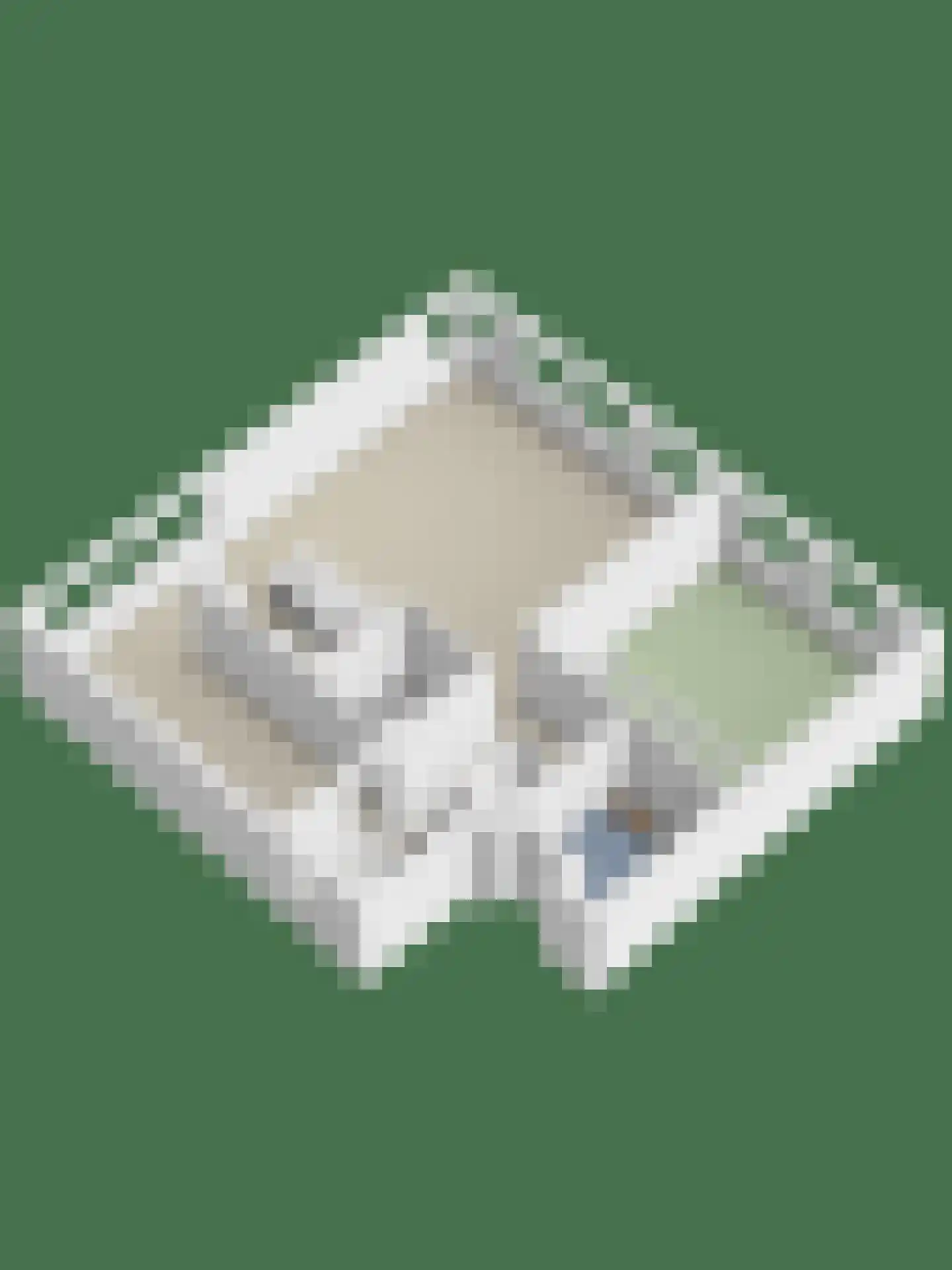 Gedempte Zalmhaven 497 Rotterdam thumbnail 46