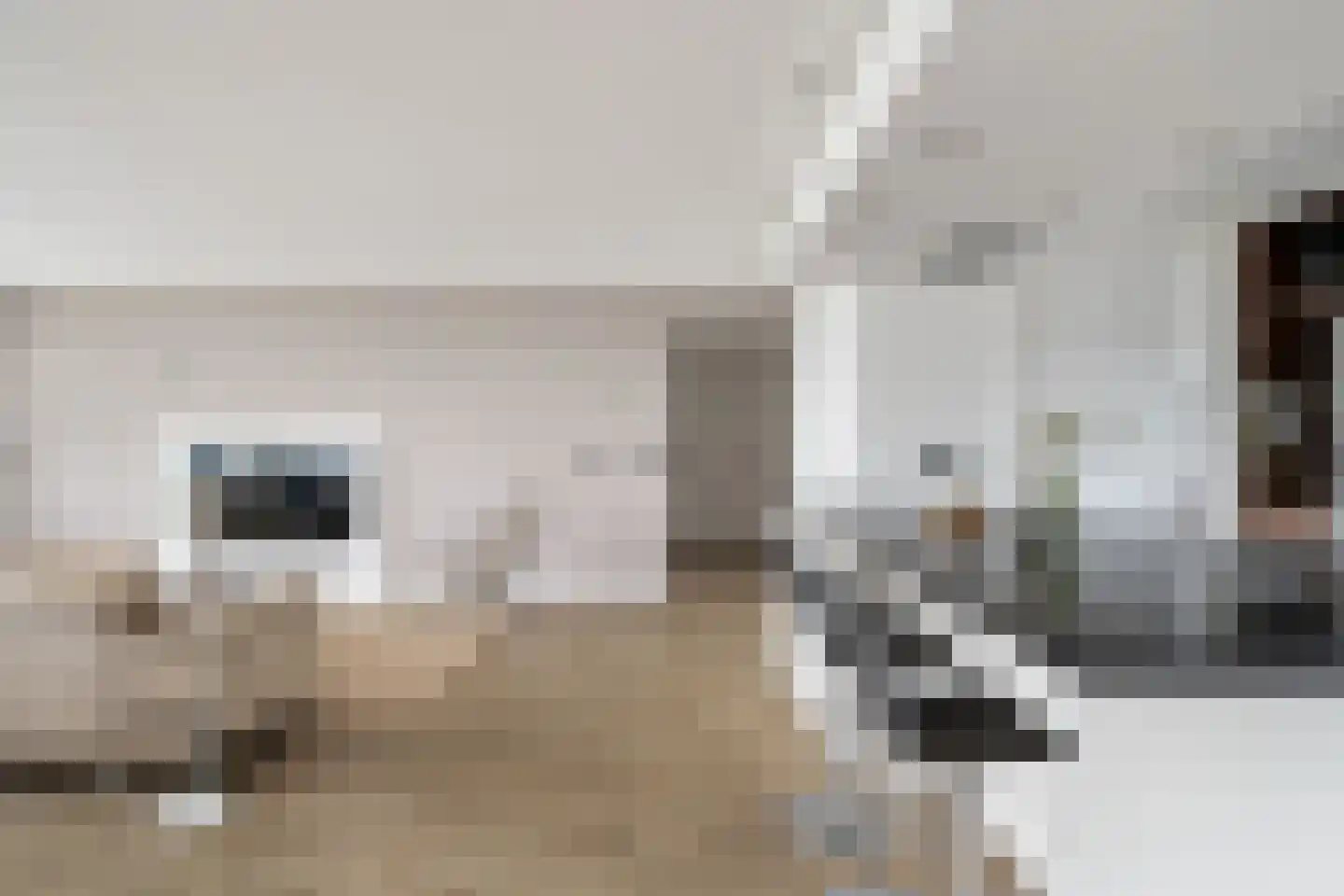 Gedempte Zalmhaven 497 Rotterdam thumbnail 7