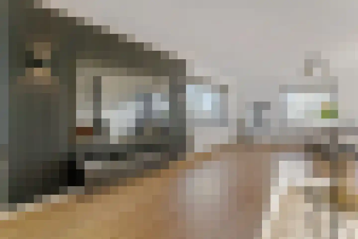 Gedempte Zalmhaven 501 Rotterdam thumbnail 20