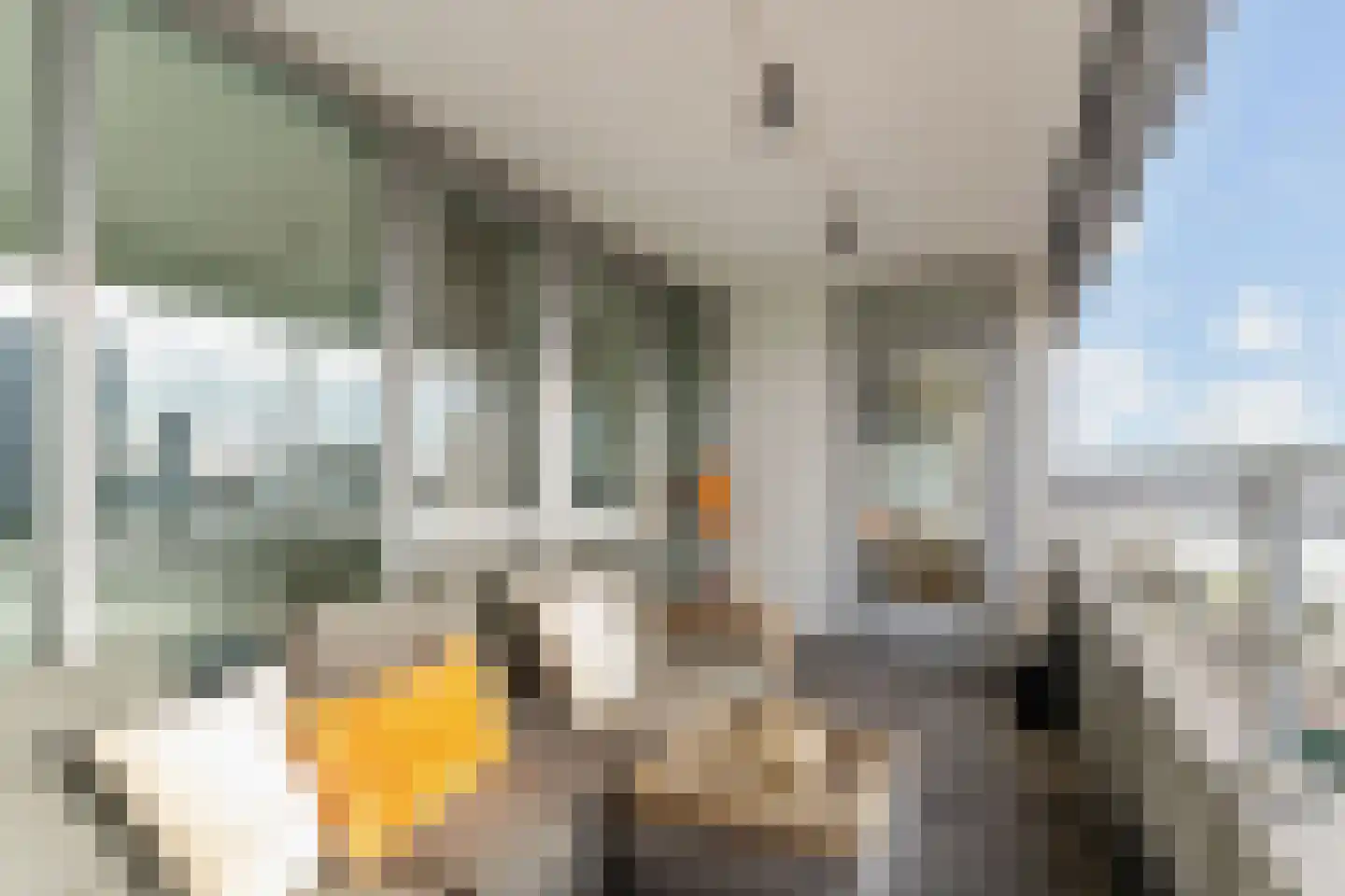 Gedempte Zalmhaven 501 Rotterdam thumbnail 27