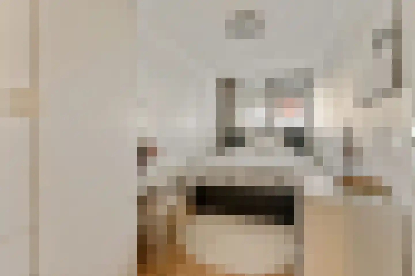 Gedempte Zalmhaven 501 Rotterdam thumbnail 32