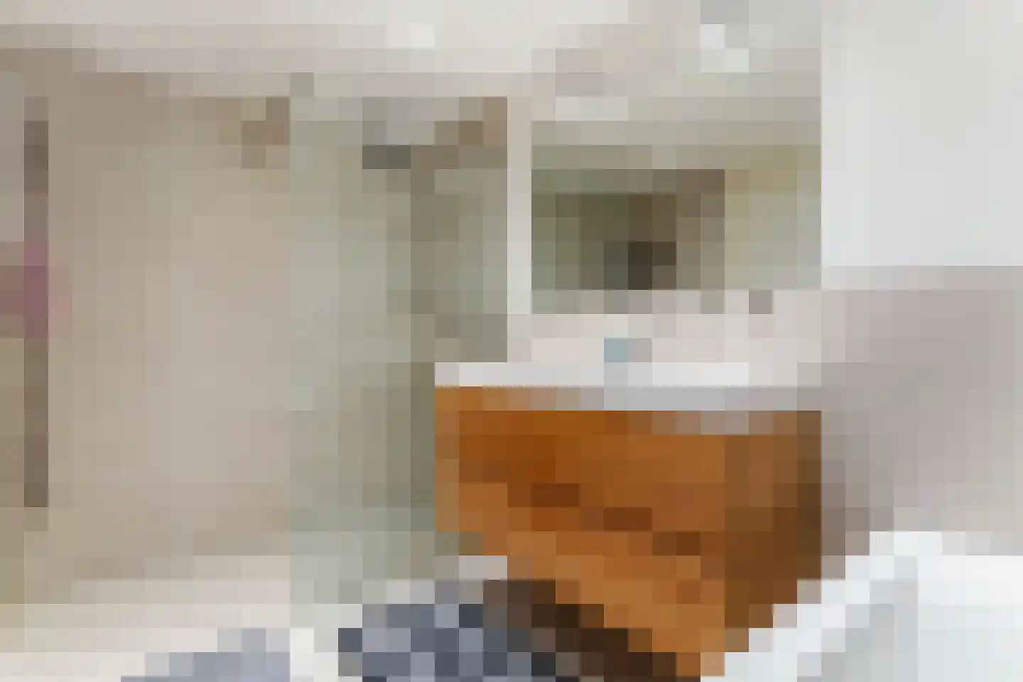 Gedempte Zalmhaven 501 Rotterdam thumbnail 34