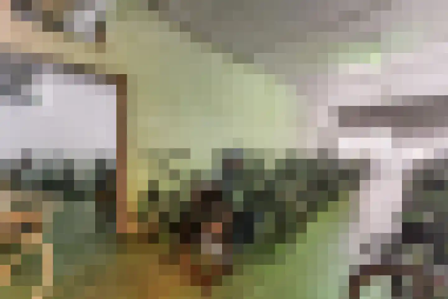 Gedempte Zalmhaven 501 Rotterdam thumbnail 45