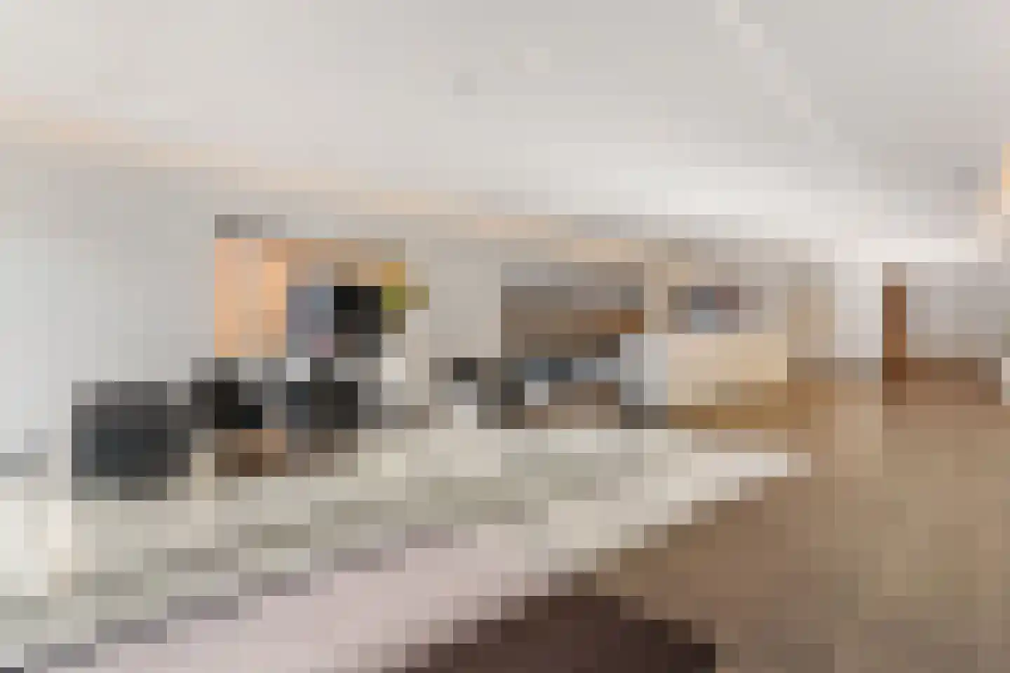 Gedempte Zalmhaven 501 Rotterdam thumbnail 6