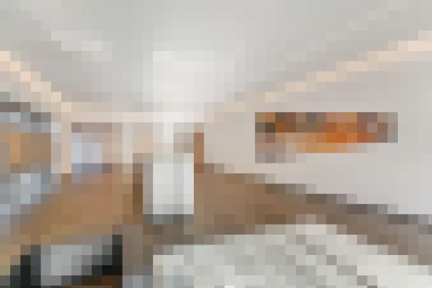 Gedempte Zalmhaven 501 Rotterdam thumbnail 7