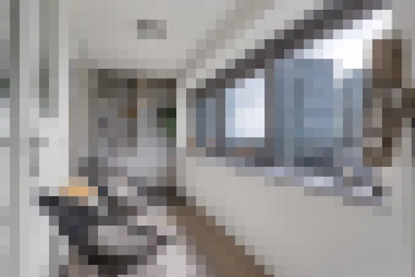 Gedempte Zalmhaven 517 Rotterdam thumbnail 18