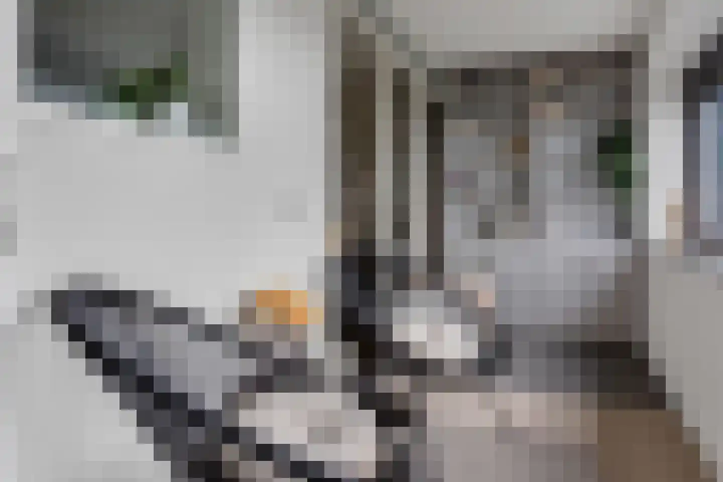 Gedempte Zalmhaven 517 Rotterdam thumbnail 19