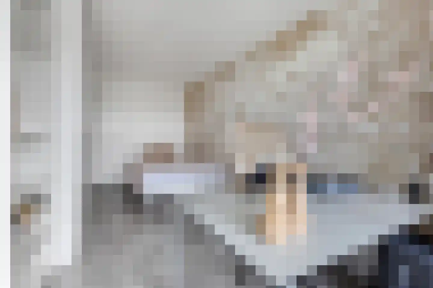 Gedempte Zalmhaven 517 Rotterdam thumbnail 31