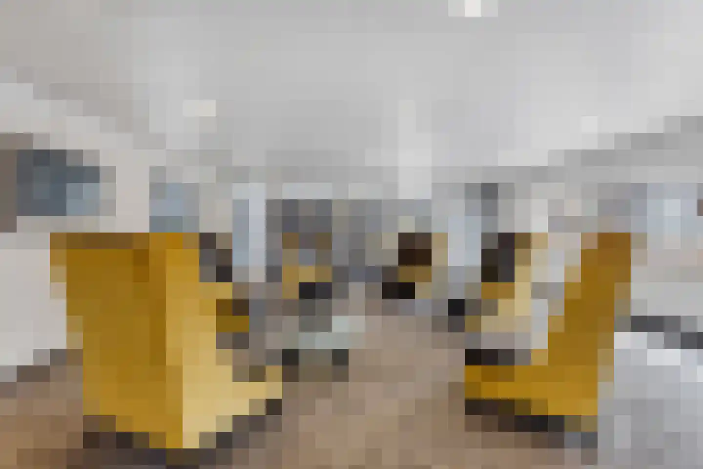 Gedempte Zalmhaven 517 Rotterdam thumbnail 39