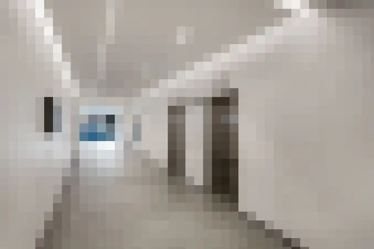 Gedempte Zalmhaven 517 Rotterdam thumbnail 45