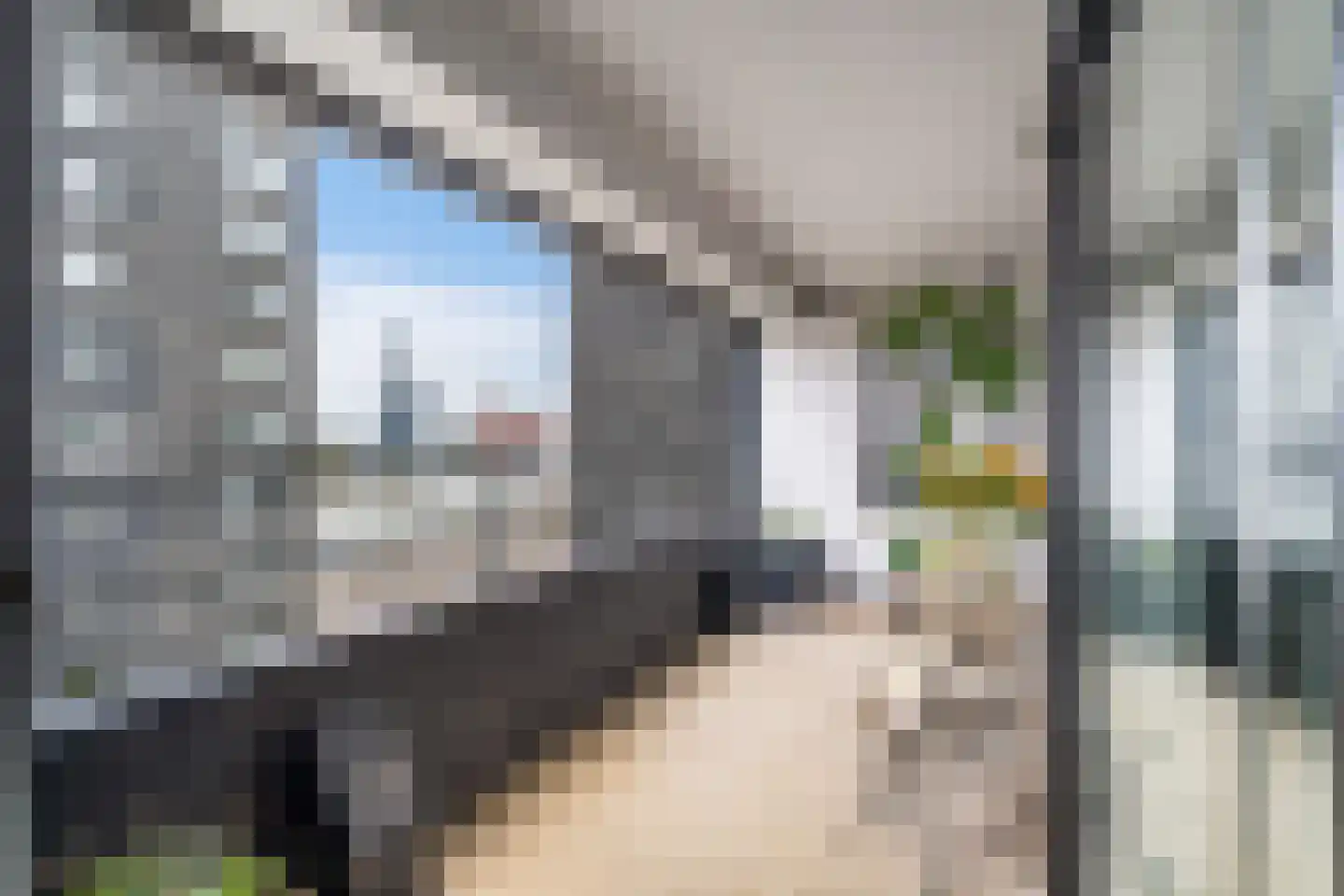 Gedempte Zalmhaven 519 Rotterdam thumbnail 14