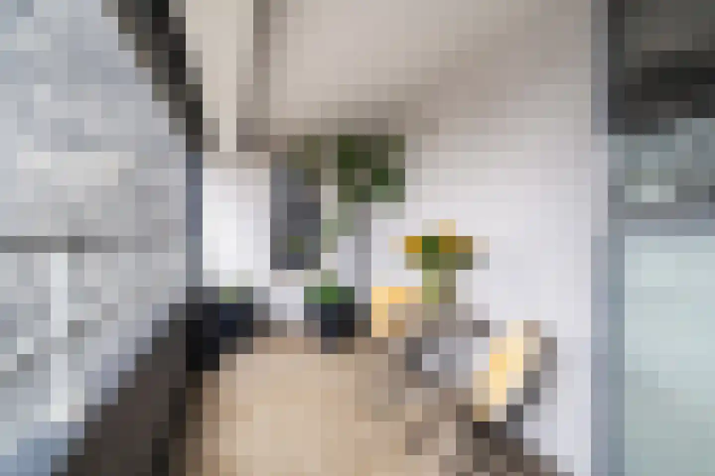 Gedempte Zalmhaven 519 Rotterdam thumbnail 15