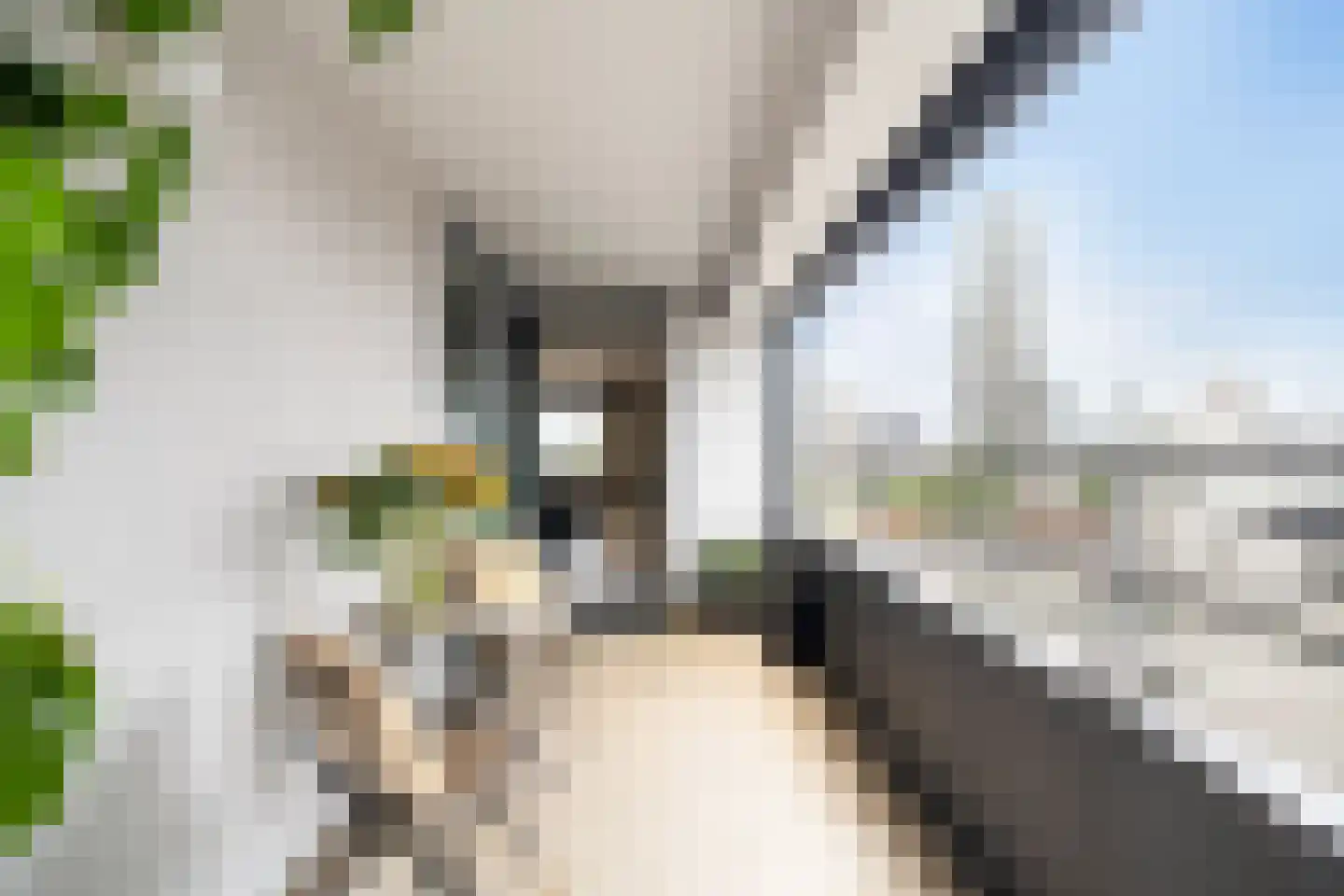 Gedempte Zalmhaven 519 Rotterdam thumbnail 4