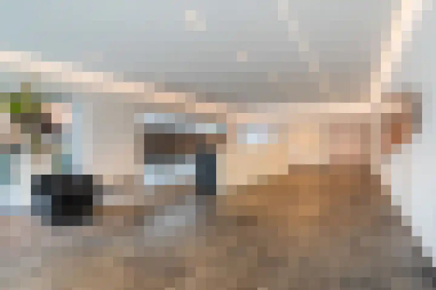 Gedempte Zalmhaven 519 Rotterdam thumbnail 5