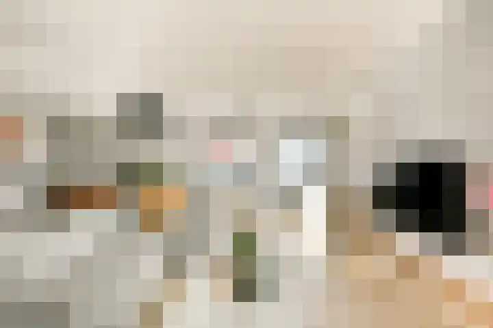Gedempte Zalmhaven 525 Rotterdam thumbnail 10