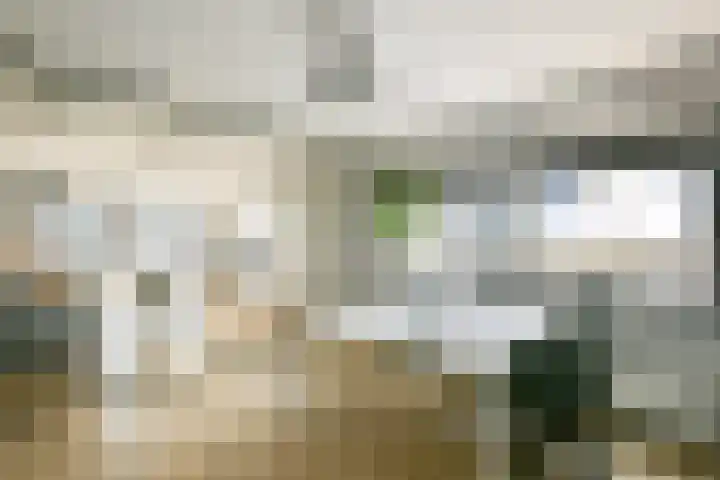 Gedempte Zalmhaven 525 Rotterdam thumbnail 19