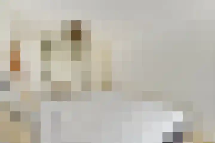 Gedempte Zalmhaven 525 Rotterdam thumbnail 30