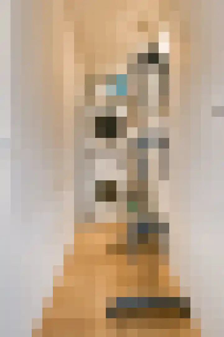 Gedempte Zalmhaven 525 Rotterdam thumbnail 34