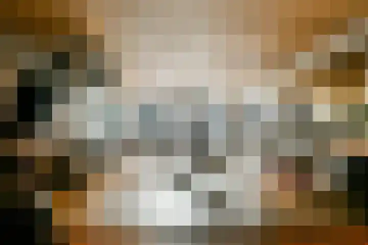 Gedempte Zalmhaven 525 Rotterdam thumbnail 37