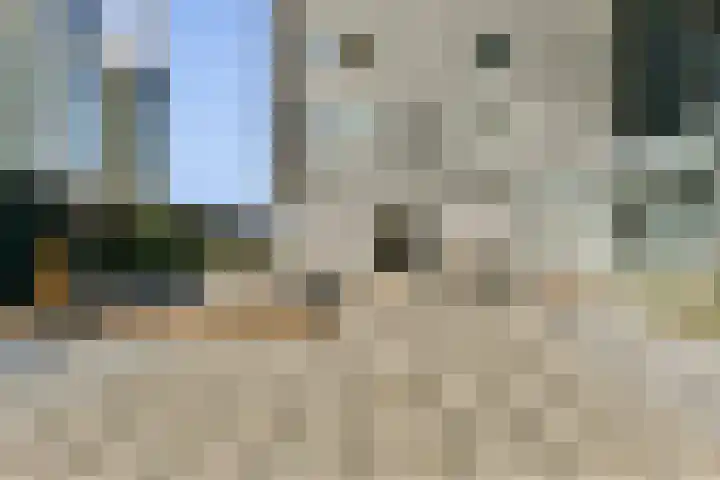 Gedempte Zalmhaven 525 Rotterdam thumbnail 38