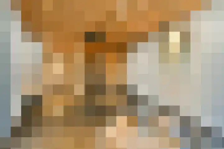 Gedempte Zalmhaven 525 Rotterdam thumbnail 41