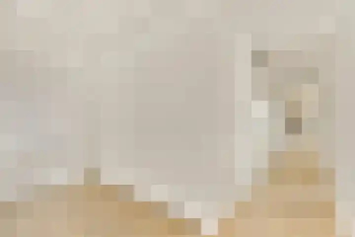 Gedempte Zalmhaven 525 Rotterdam thumbnail 8