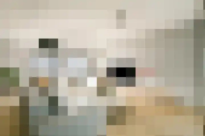Gedempte Zalmhaven 525 Rotterdam thumbnail 9