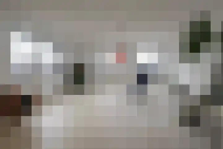 Gedempte Zalmhaven 531 Rotterdam thumbnail 10