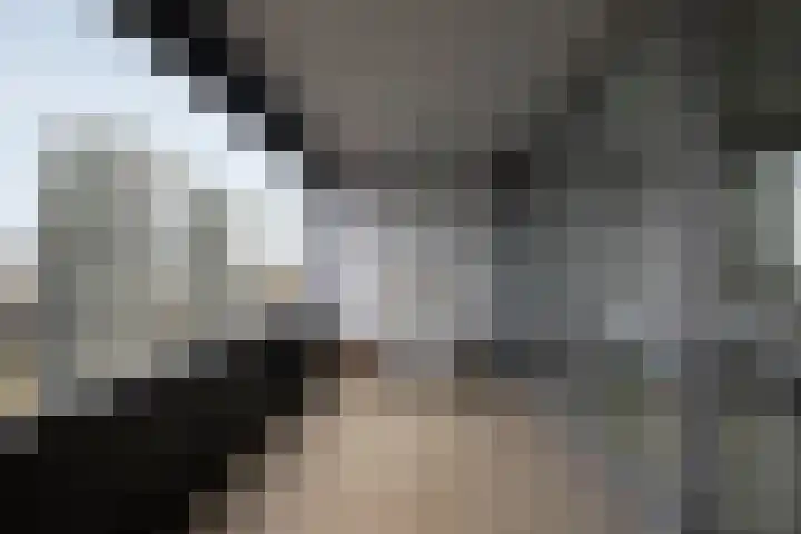 Gedempte Zalmhaven 531 Rotterdam thumbnail 12