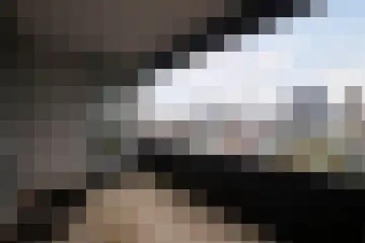 Gedempte Zalmhaven 531 Rotterdam thumbnail 13