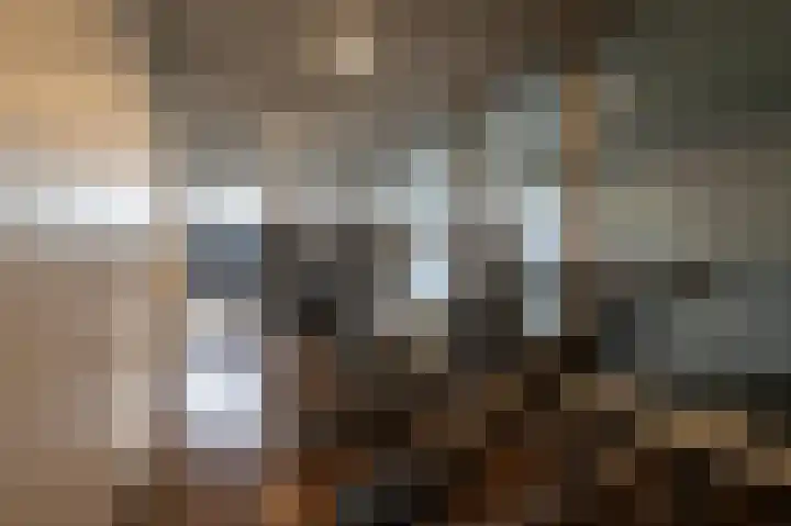 Gedempte Zalmhaven 531 Rotterdam thumbnail 25