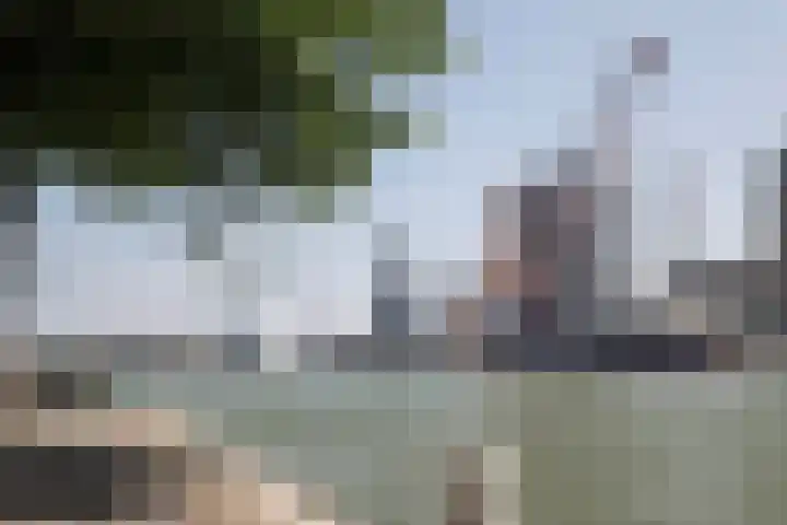 Gedempte Zalmhaven 531 Rotterdam thumbnail 30