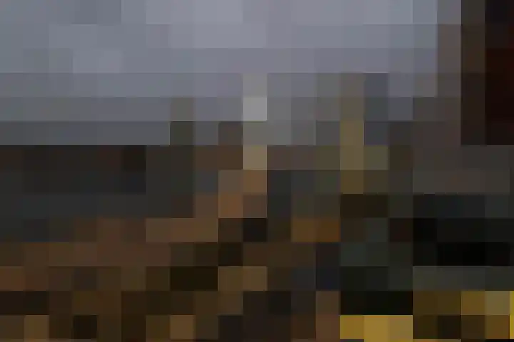 Gedempte Zalmhaven 531 Rotterdam thumbnail 5