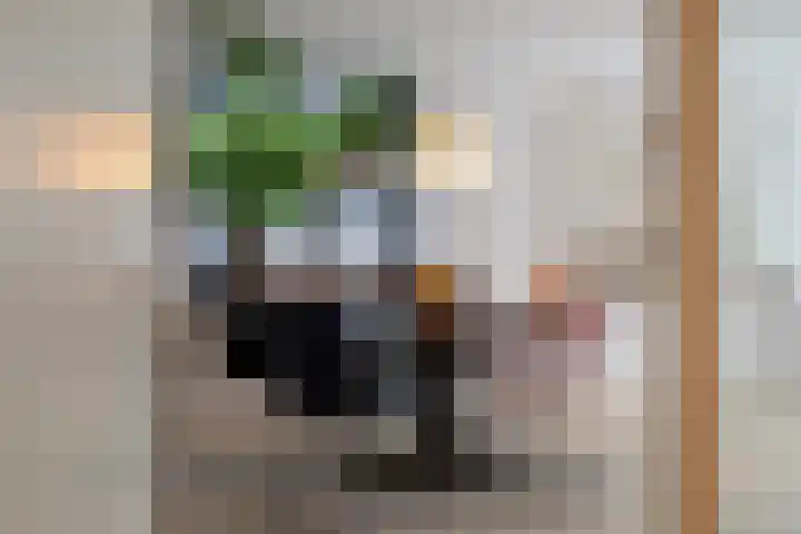 Gedempte Zalmhaven 531 Rotterdam thumbnail 9