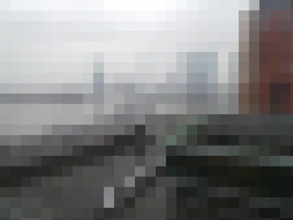 Gedempte Zalmhaven 533 Rotterdam thumbnail 6