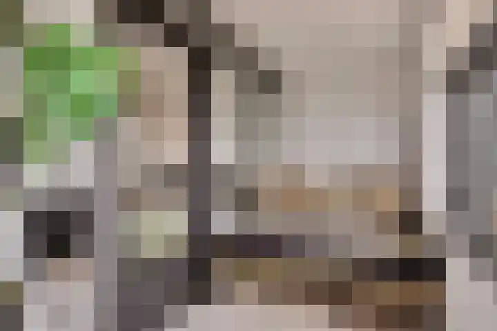 Gedempte Zalmhaven 537 Rotterdam thumbnail 13