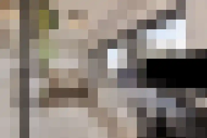 Gedempte Zalmhaven 537 Rotterdam thumbnail 14