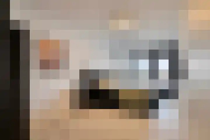 Gedempte Zalmhaven 537 Rotterdam thumbnail 17