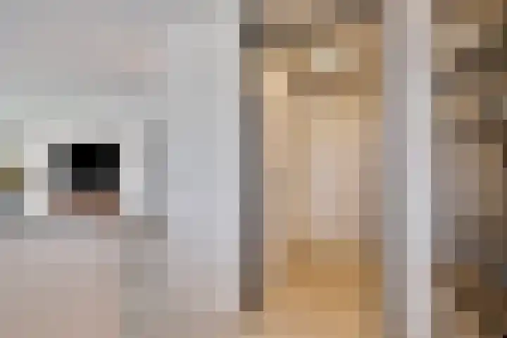 Gedempte Zalmhaven 537 Rotterdam thumbnail 19