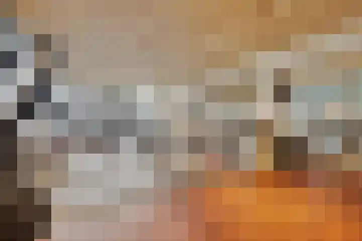 Gedempte Zalmhaven 537 Rotterdam thumbnail 32