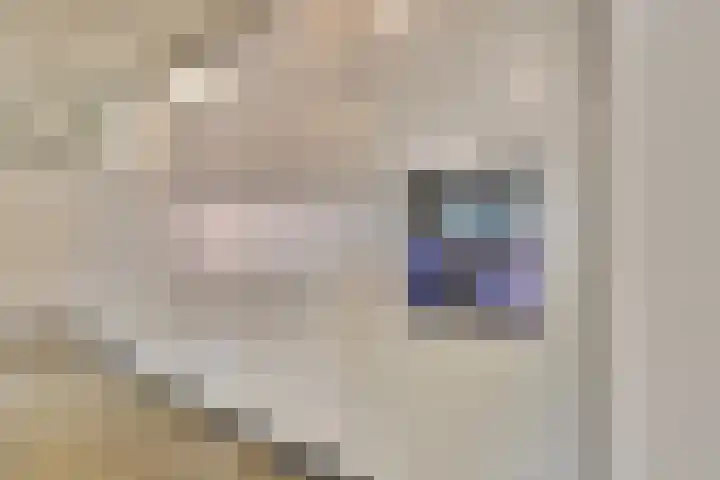 Gedempte Zalmhaven 537 Rotterdam thumbnail 34
