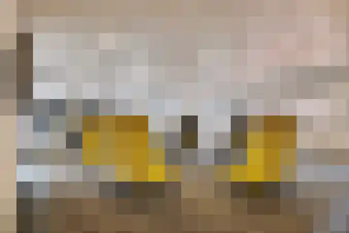Gedempte Zalmhaven 537 Rotterdam thumbnail 36