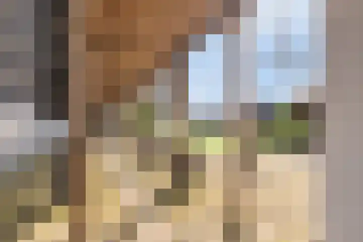 Gedempte Zalmhaven 537 Rotterdam thumbnail 37