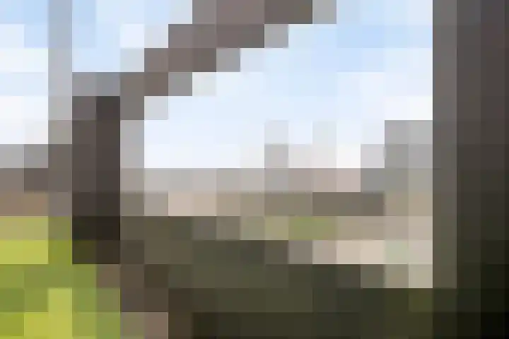 Gedempte Zalmhaven 537 Rotterdam thumbnail 38