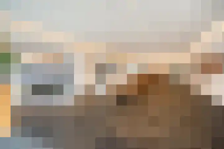 Gedempte Zalmhaven 537 Rotterdam thumbnail 40